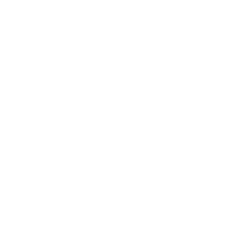Icono de servicio