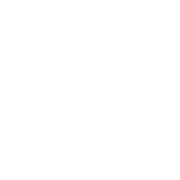 Icono de servicio